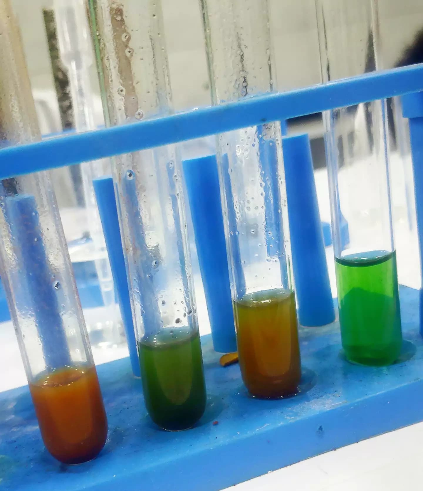 Soil samples in test tubes turning different colours with a universal indicator