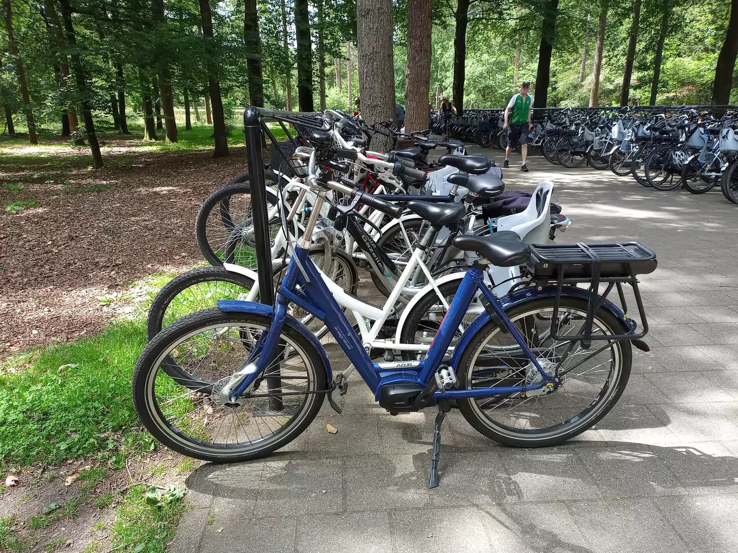 Electric bicycles parked in a forest park