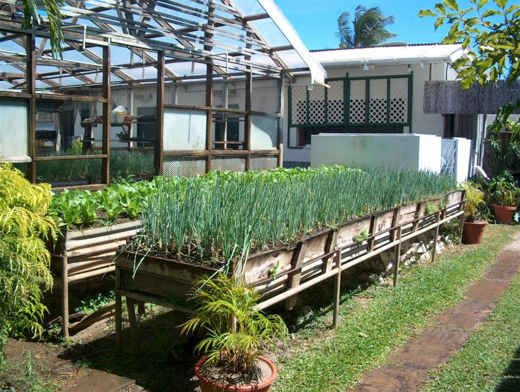 Hotel Kitchen Garden Setup Service