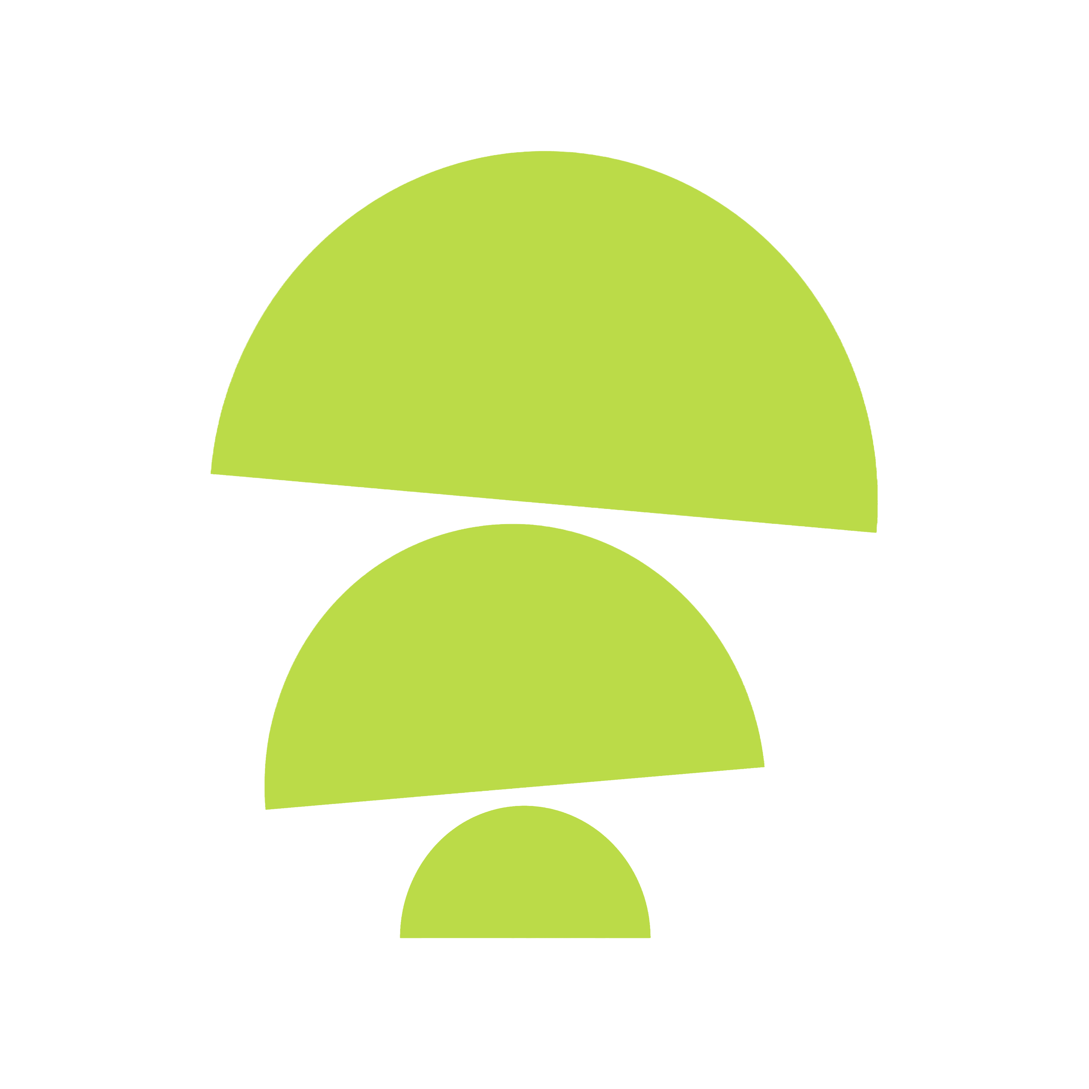 The Ravenala Attitude Hotel logo
